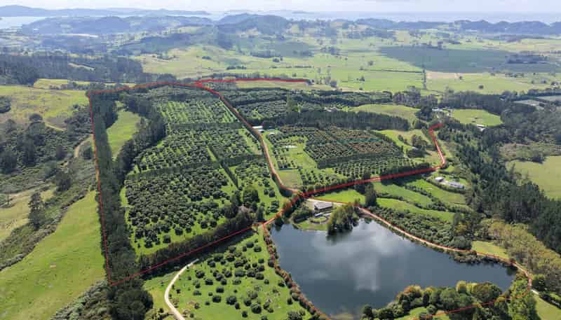 121C Purangi Road, Whenuakite