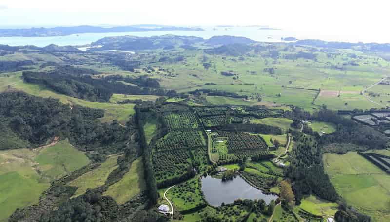 121C Purangi Road, Whenuakite