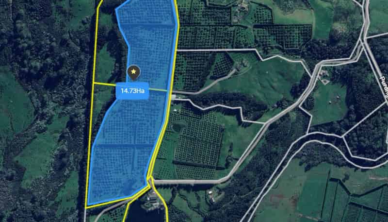 121C Purangi Road, Whenuakite