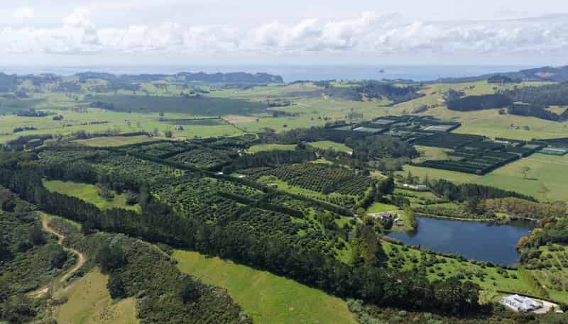 121C Purangi Road, Whenuakite