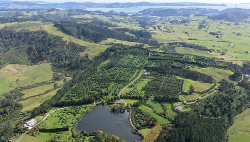 121C Purangi Road, Whenuakite