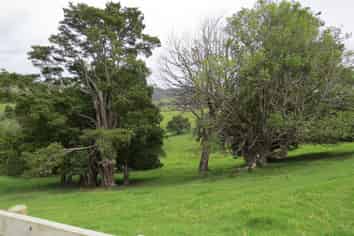 Lot 4 Taylor Road, Taipa