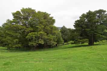 Lot 4 Taylor Road, Taipa