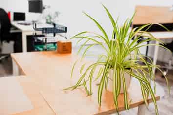 Open plan CBD offices