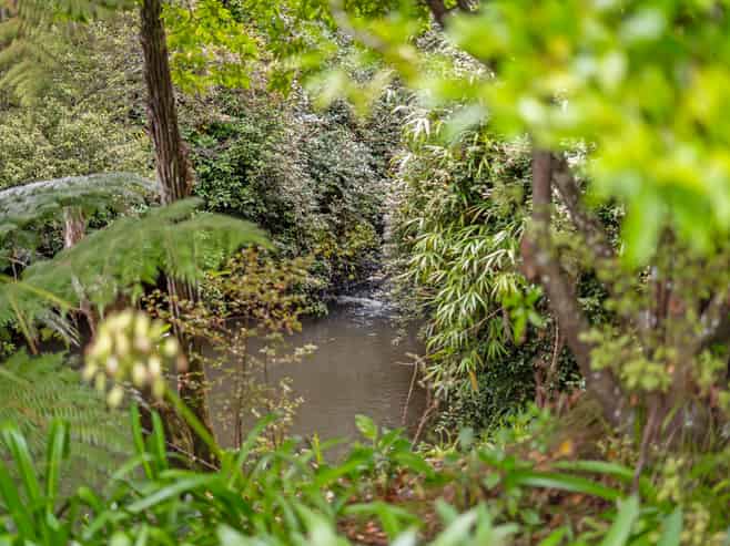 792 State Highway 1, Dome Valley, Warkworth