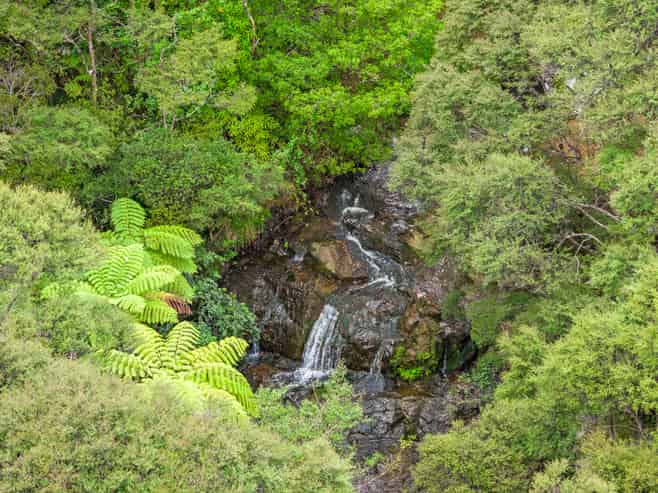 792 State Highway 1, Dome Valley, Warkworth