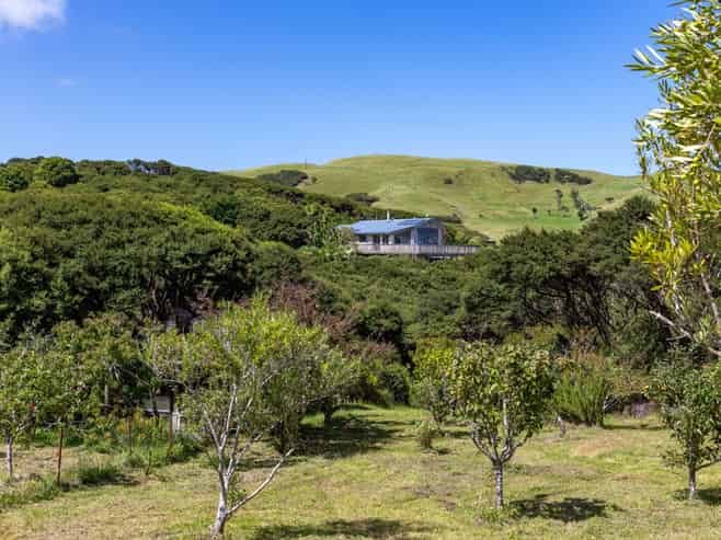 1574 Whaanga Road, Raglan