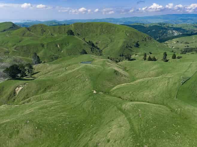 1678 Tiniroto Road, Waerengaokuri