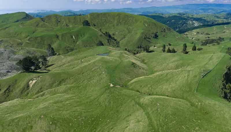 1678 Tiniroto Road, Waerengaokuri