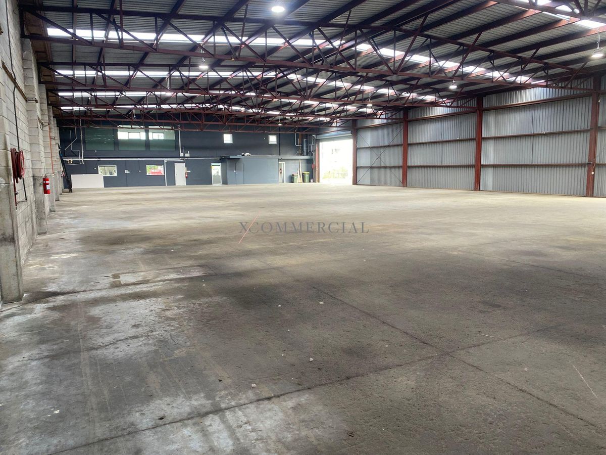 1,220sqm - Heavy Industry with Yard - Widok 5