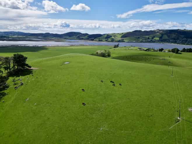  Berwick Road, Clarendon