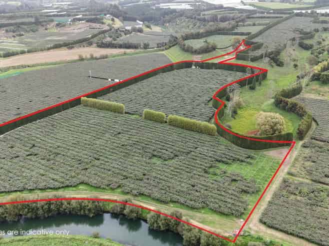 206 Casuarina Drive, Te Puke