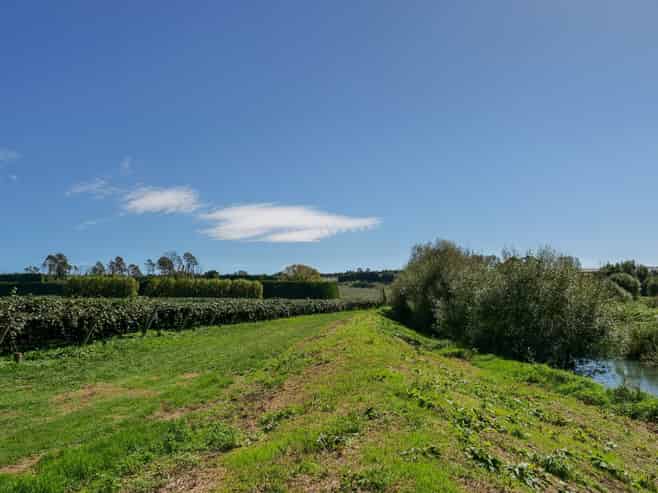 206 Casuarina Drive, Te Puke