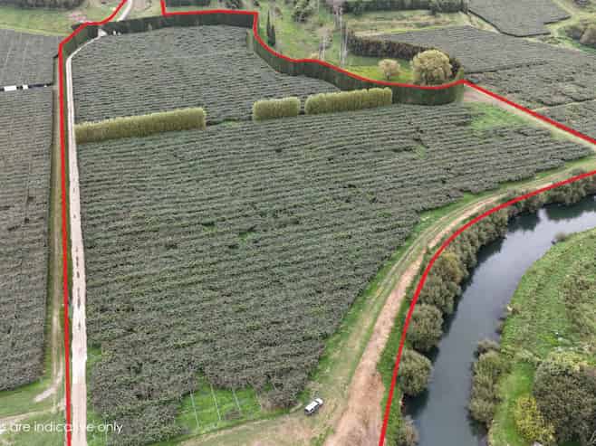 206 Casuarina Drive, Te Puke