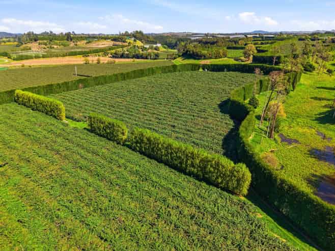 206 Casuarina Drive, Te Puke