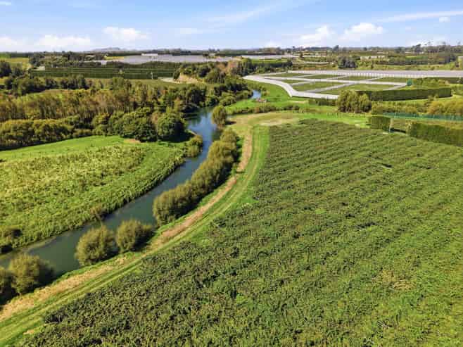 206 Casuarina Drive, Te Puke