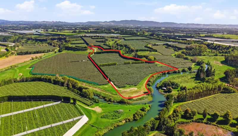 206 Casuarina Drive, Te Puke