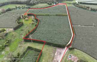 206 Casuarina Drive, Te Puke