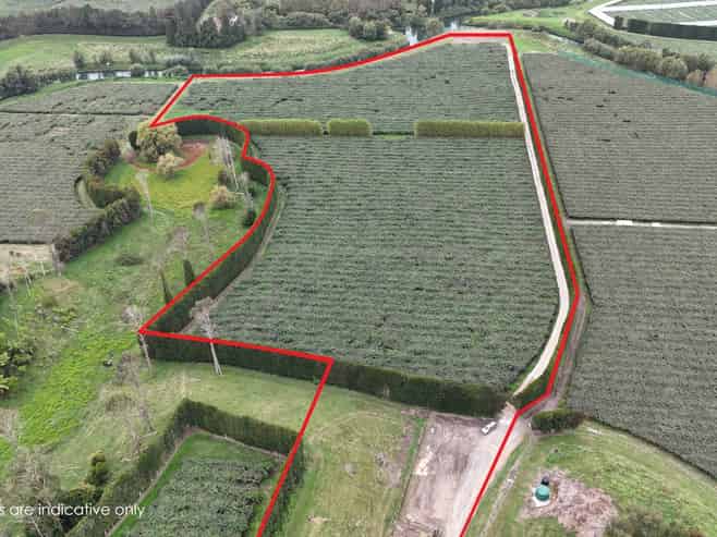 206 Casuarina Drive, Te Puke