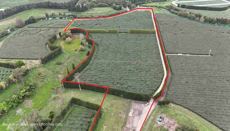 206 Casuarina Drive, Te Puke