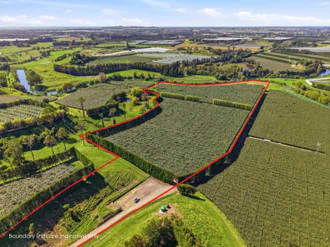 206 Casuarina Drive, Te Puke