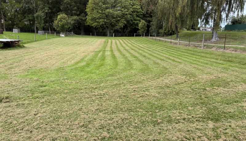 50 Hornbrook Street, Temuka