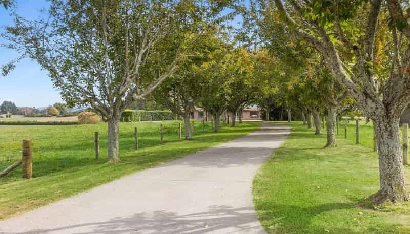 4599 State Highway 29, Matamata