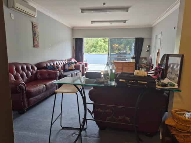 A Once-in-a-Lifetime Opportunity