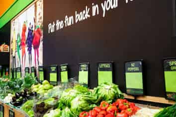 The Funky Pumpkin – Earnings $556K+