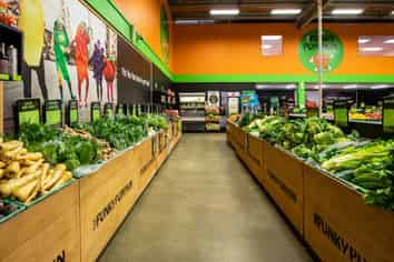 The Funky Pumpkin – Earnings $556K+