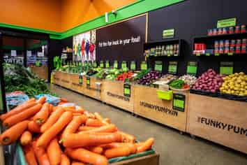 The Funky Pumpkin – Earnings $556K+