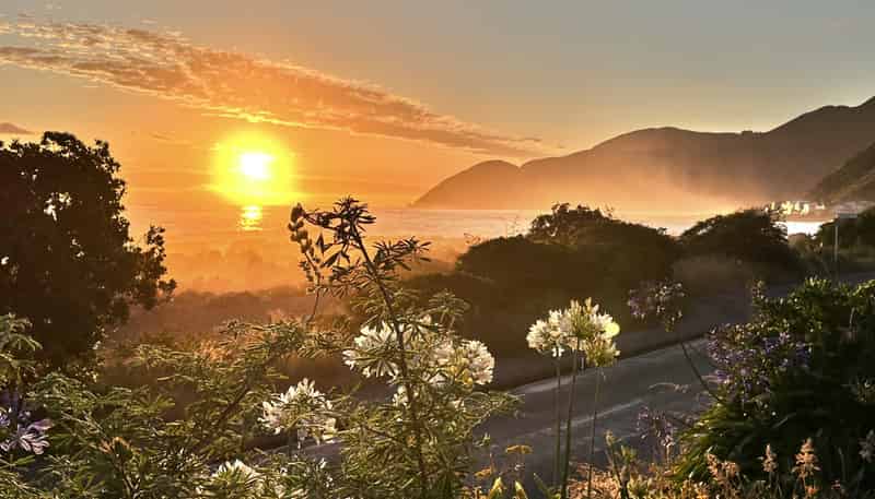 438 The Esplanade, Island Bay