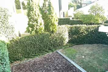 59 Southern Cross Road, Kohimarama