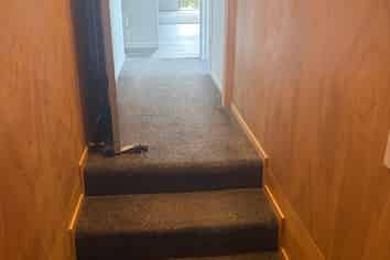 Bay of Plenty - Address withheld