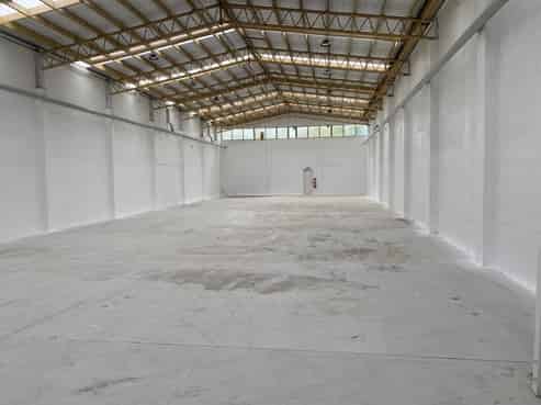 Owner Occupier in Popular Fenton Park Location