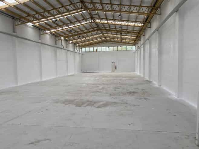 Owner Occupier in Popular Fenton Park Location