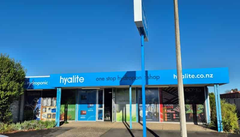 406 Eastbourne Street West, Hastings