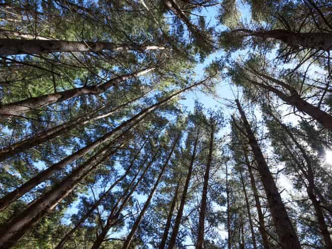  Kauarapaoa Road, Brunswick