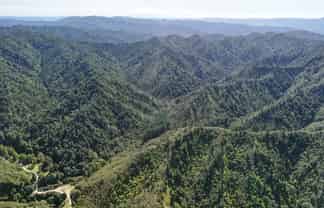  Kauarapaoa Road, Brunswick