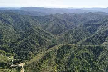  Kauarapaoa Road, Brunswick