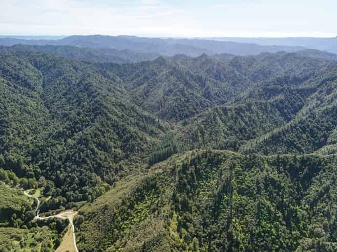 Kauarapaoa Road, Brunswick