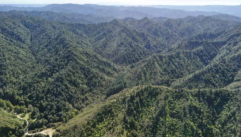  Kauarapaoa Road, Brunswick