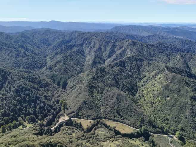  Kauarapaoa Road, Brunswick