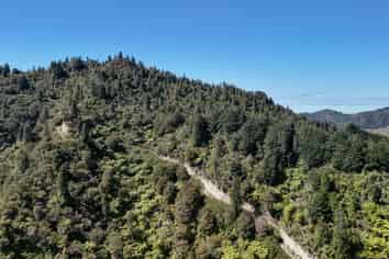  Kauarapaoa Road, Brunswick