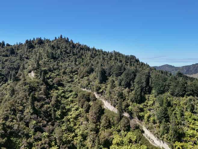  Kauarapaoa Road, Brunswick