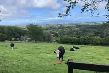 225 Huia Street, Waikanae