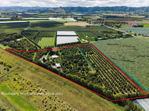 42 Ferry Road, Waerengaahika