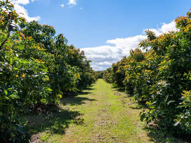 42 Ferry Road, Waerengaahika