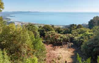 739 Bird Road, Clifton