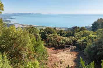 739 Bird Road, Clifton